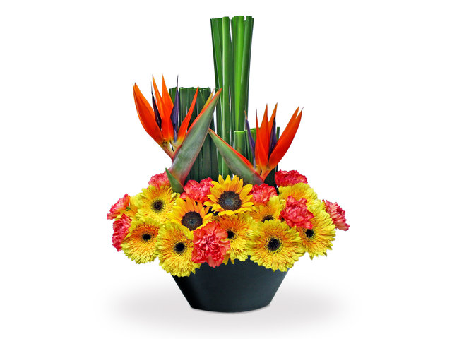 Florist Flower Arrangement - Bird of Paradise  Florist vase Decor G1 - L3153989 Photo